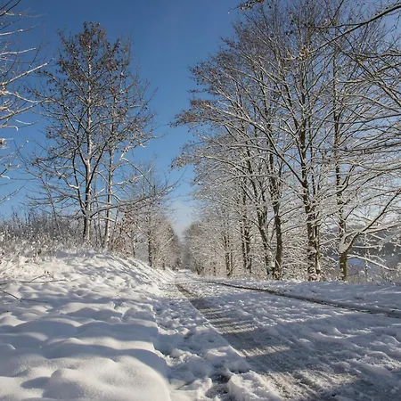 Welcome In - 'auszeit Winterberg' Mit Balkon Mit Aussicht Und Abstellraum